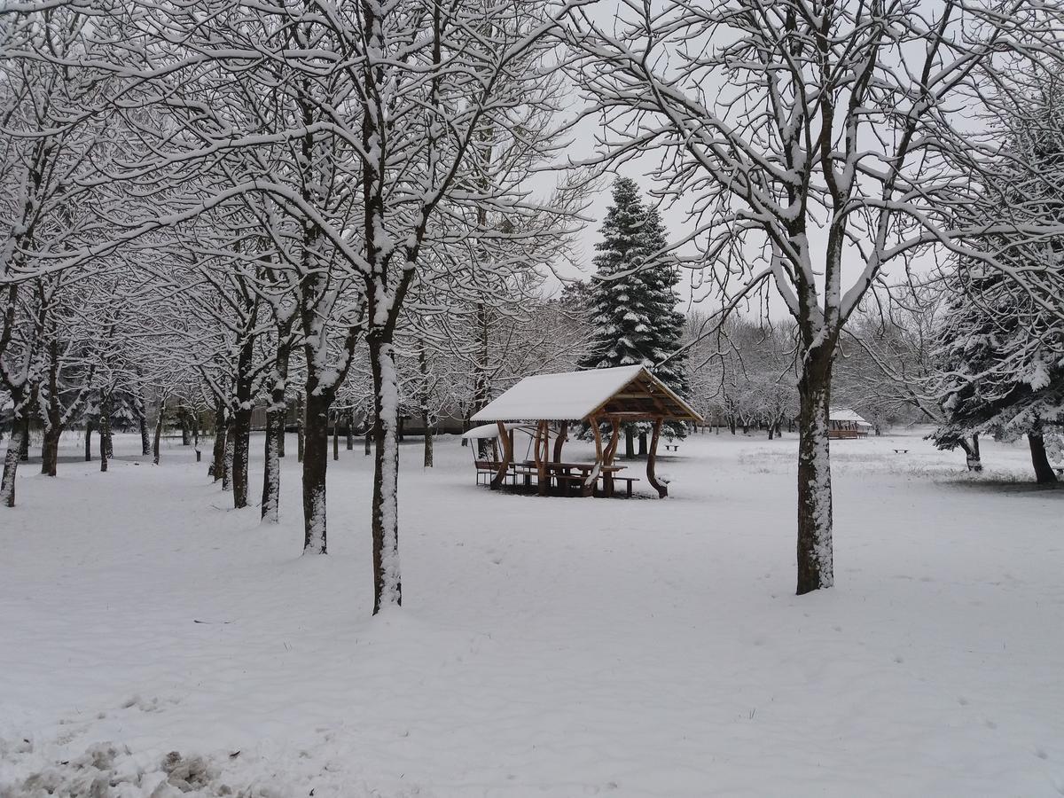 Отель Туристско-оздоровительный комплекс Пышки Гродно Экстерьер фото